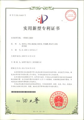 公司自主知识产权与知识产权服务的全面解析