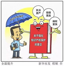 金华出台知识产权新政，企业可享多项优惠政策与服务支持
