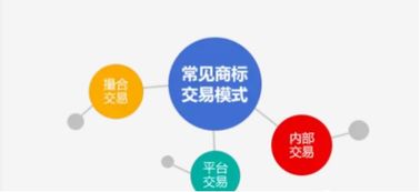 探索知识产权证券化，建设交易中心 推动知识产权服务高质量发展